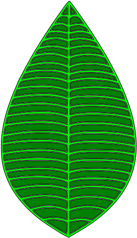 Green Leaf - Illustration Clipart (800x563), Png Download