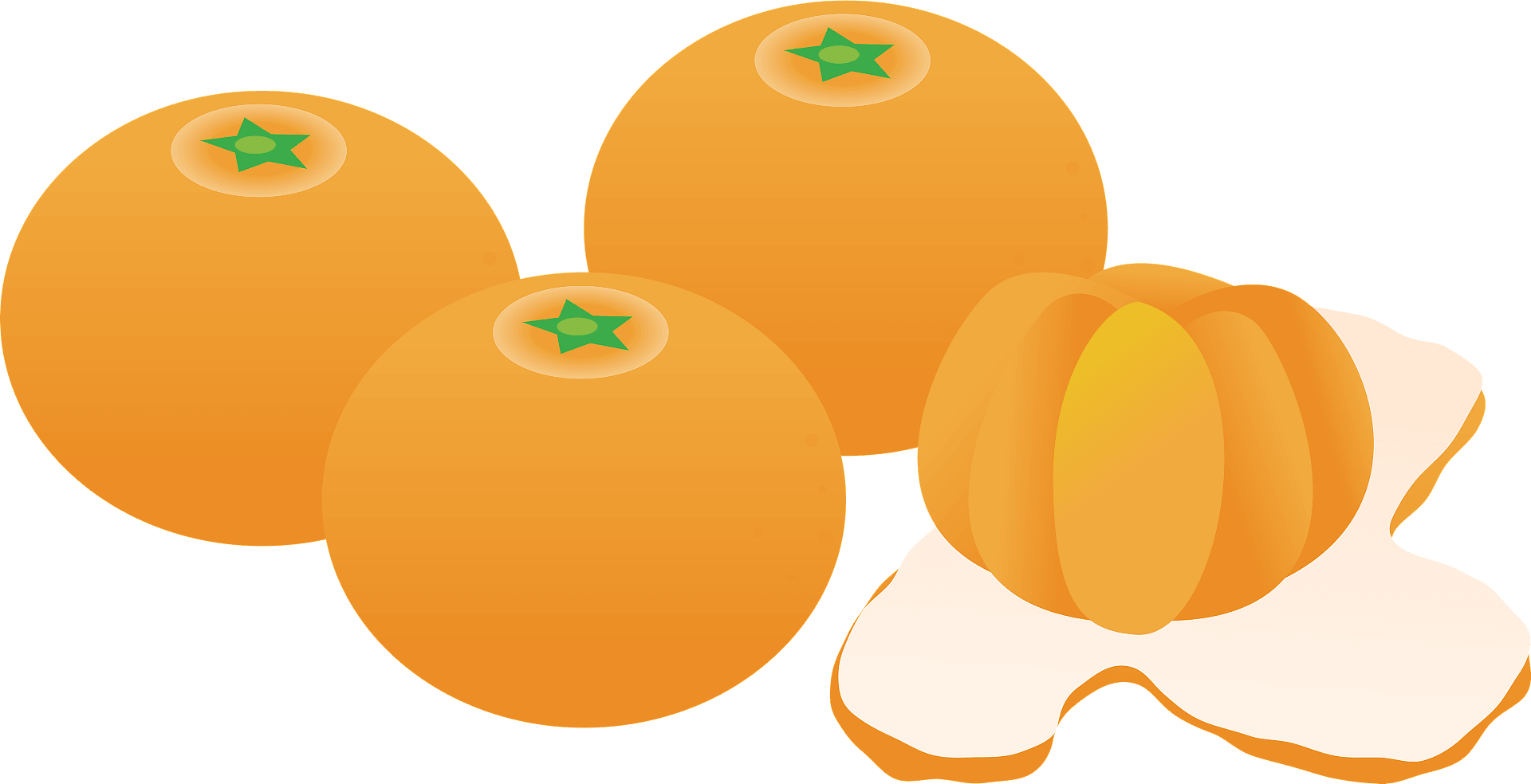 Illustration Clipart (1920x984), Png Download