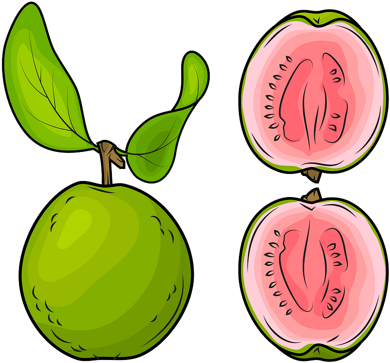 Whole Guava And A Half Clipart - Png Download (800x775), Png Download