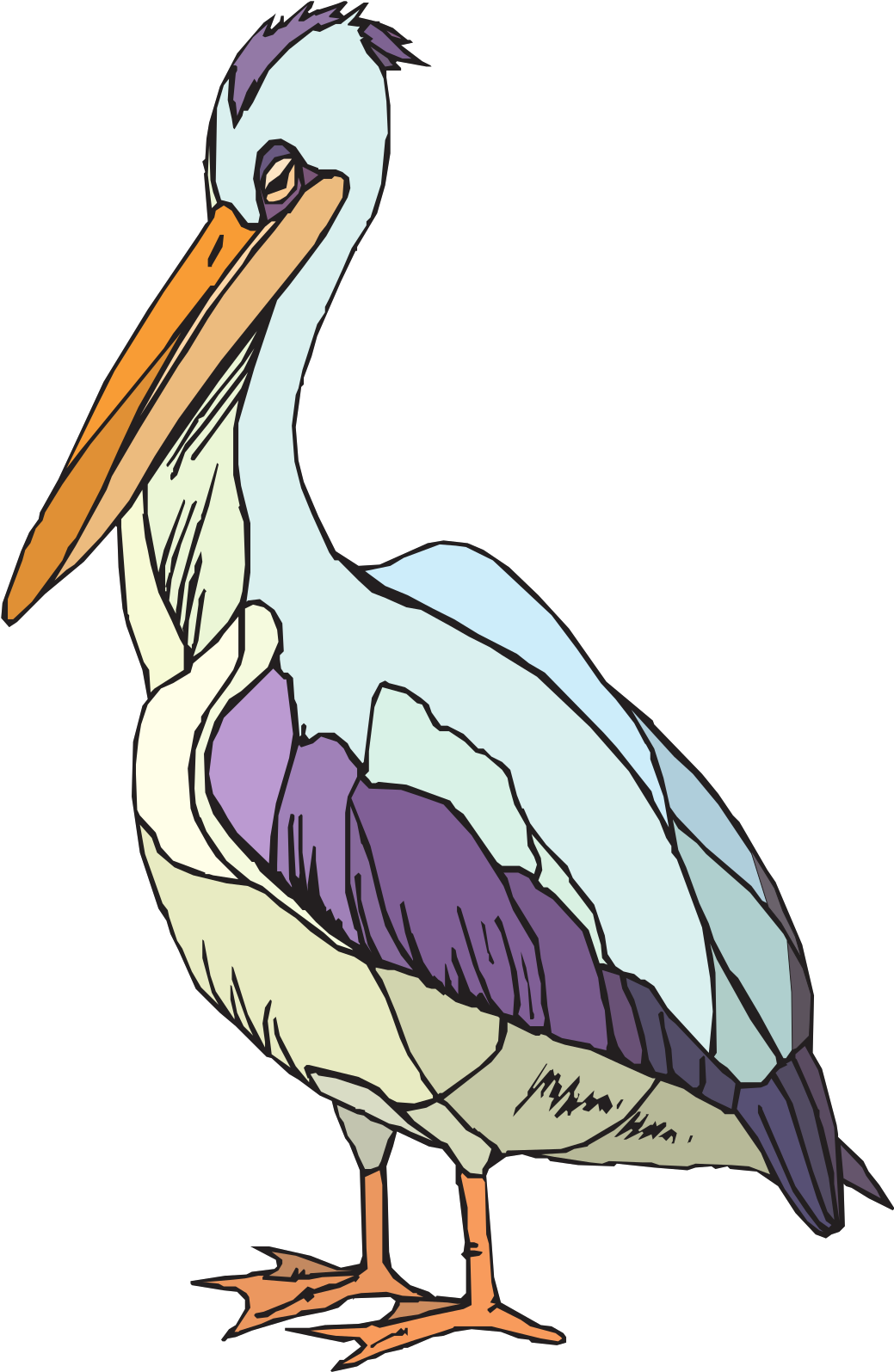 Colorful Pelican Png Images - Clip Art Transparent Png (600x600), Png Download