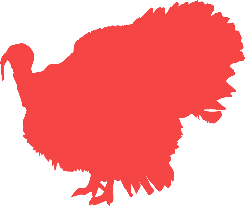 Portable Network Graphics Clipart (800x676), Png Download