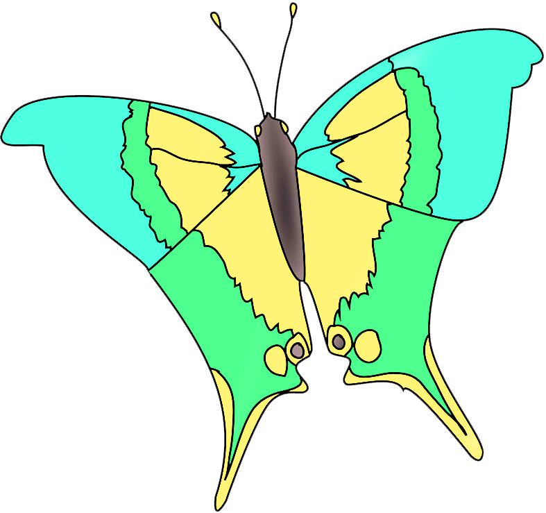 Marpesialole Butterfly Fantasy Colors Clipart (787x739), Png Download