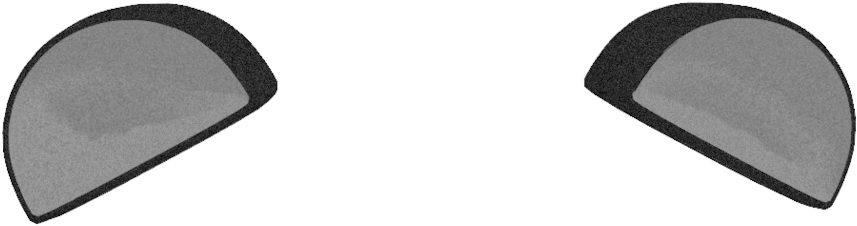 Giant Panda Cat Ear Kitten Hello Kitty - Panda Ear Png Clipart (1048x762), Png Download