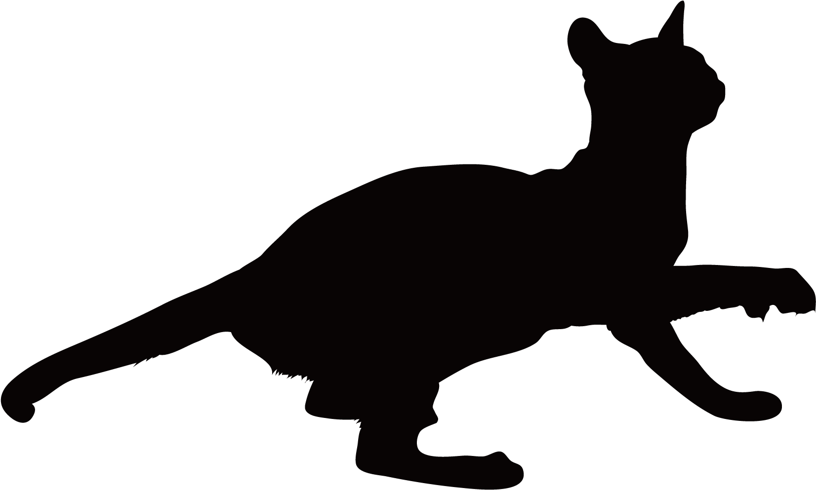 Black Cat Kitten Whiskers Around - Cat Yawns Clipart (2083x2083), Png Download