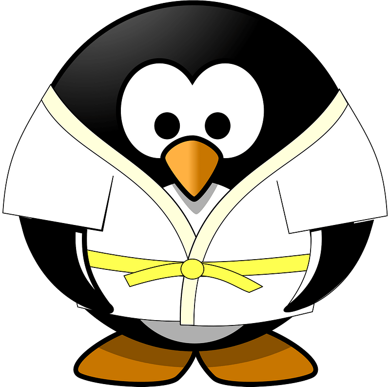 Penguin Images Clip Art - Png Download (800x793), Png Download