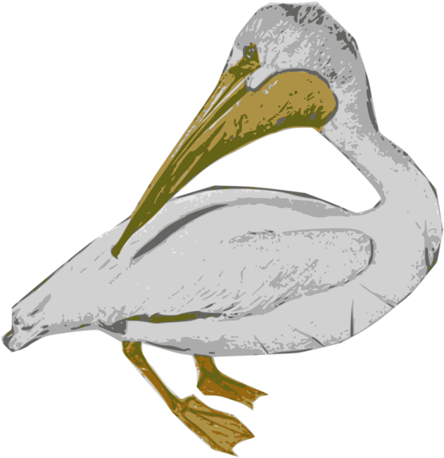 Pelican Clip Art - Png Download (755x749), Png Download