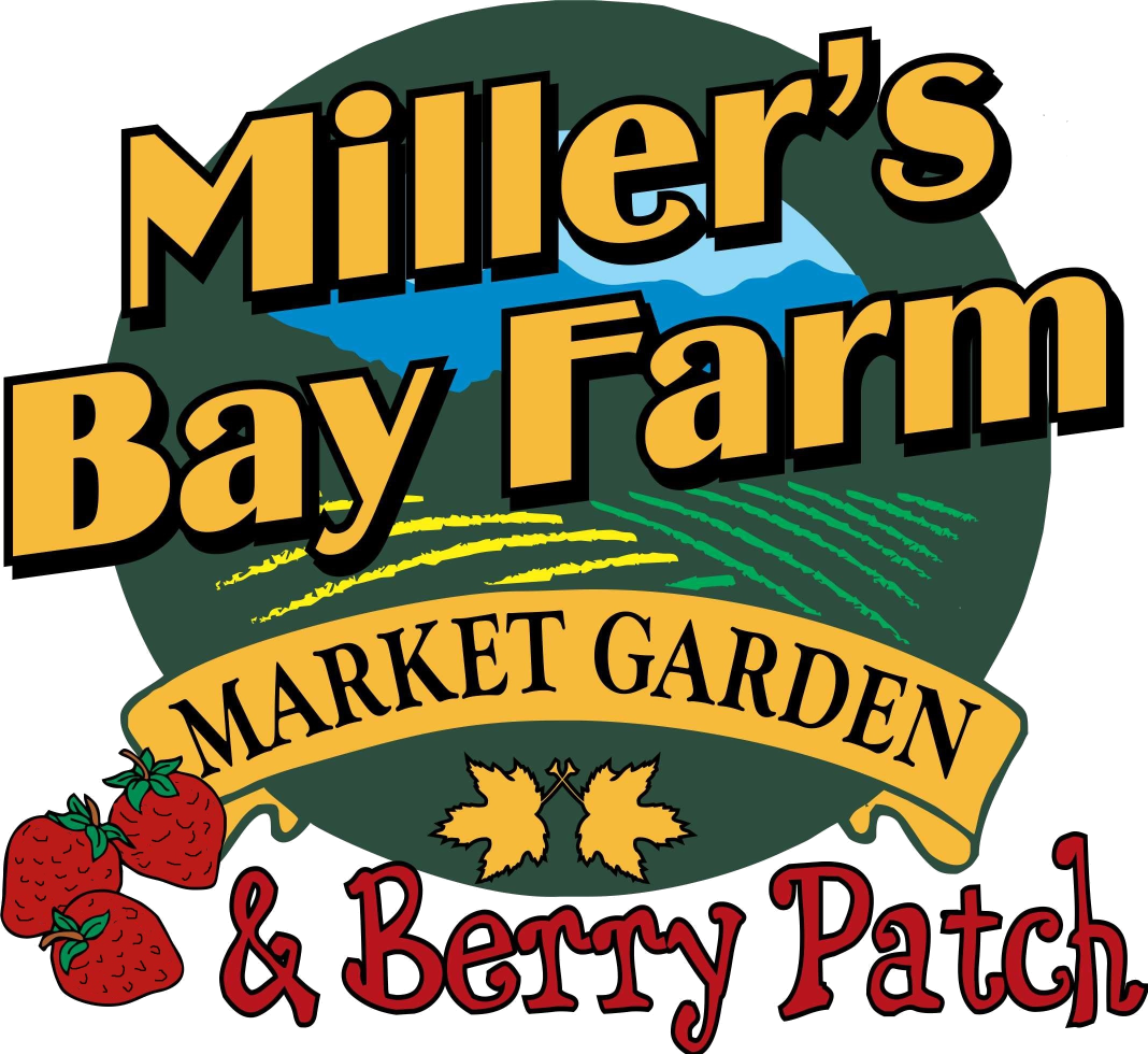 Appalachian Grown Clipart (1068x980), Png Download