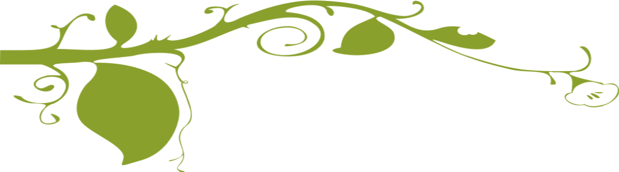 The Pumpkin River Store - Png Plant Graphic Clipart (1276x356), Png Download