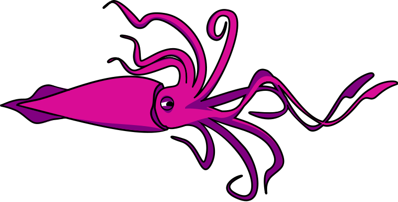 Squid Images Clipart Banner Black And White Stock Squid - Squid Clipart - Png Download (800x407), Png Download