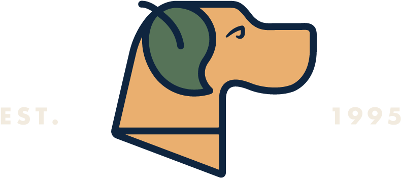 Clip Art - Png Download (997x437), Png Download