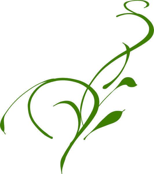 Vine Clip Art - Png Download (532x600), Png Download