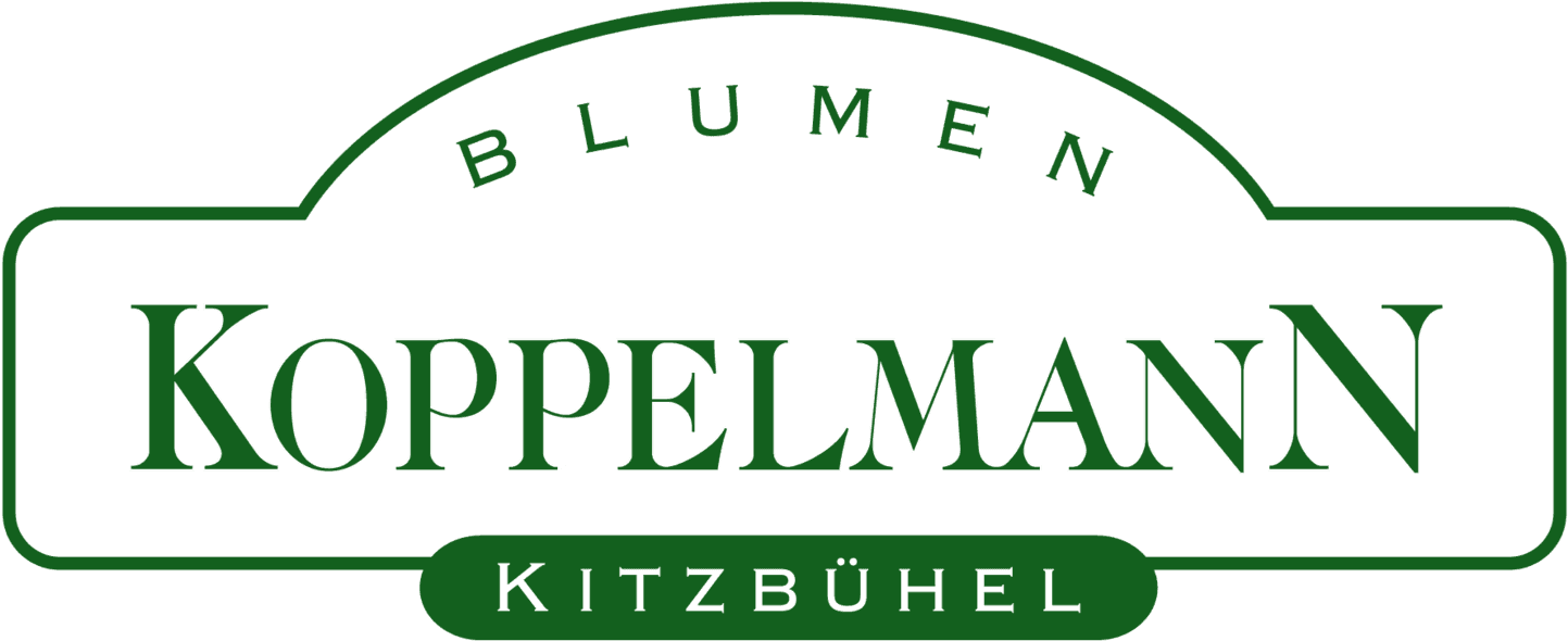 Vera Wang Clipart (1920x758), Png Download