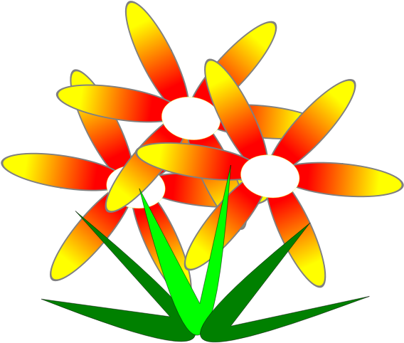 Flor De Mato - Clip Art - Png Download (600x600), Png Download