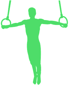 Gymnastics Clipart (242x300), Png Download