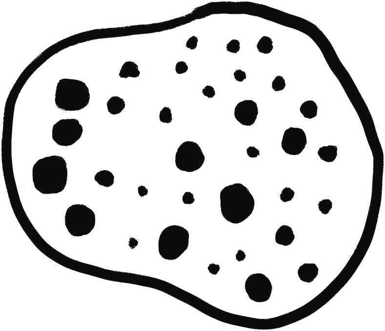 Circle Clipart (800x682), Png Download