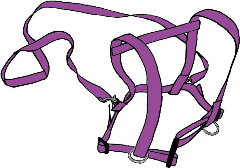 Clip Art - Png Download (960x640), Png Download