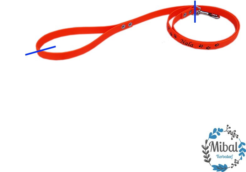 Clip Art - Png Download (800x800), Png Download