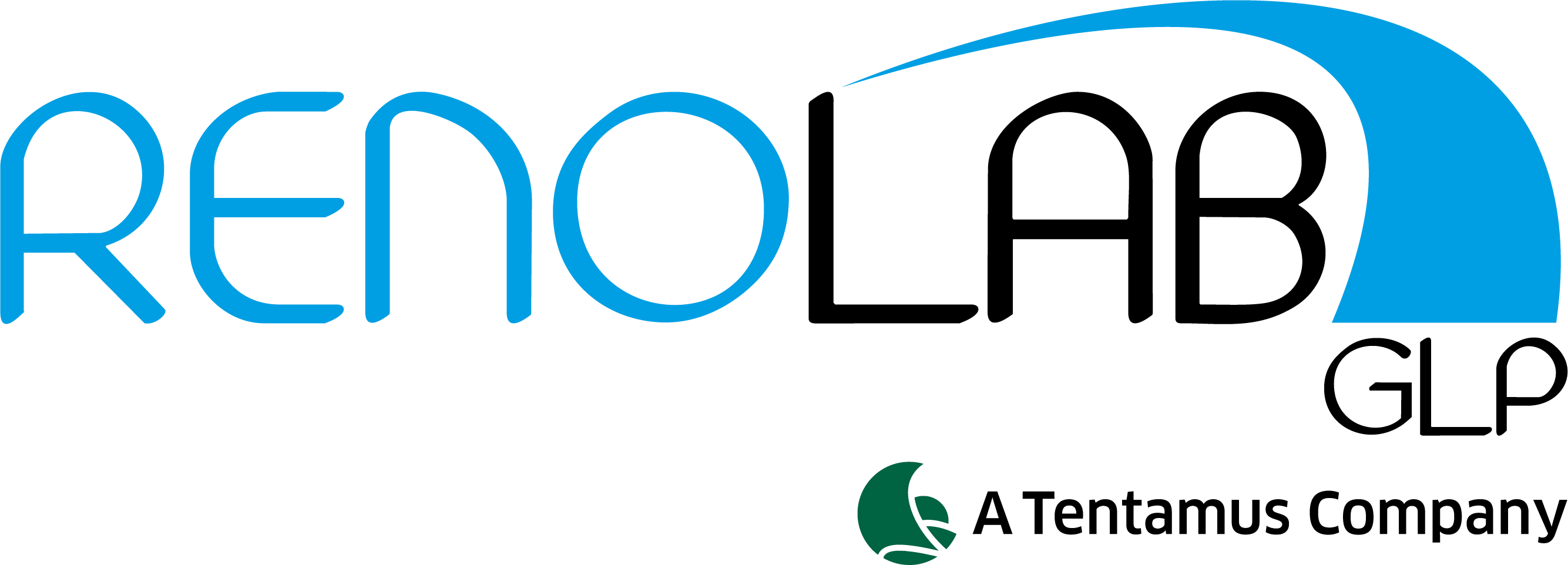 Clip Art - Png Download (2669x962), Png Download