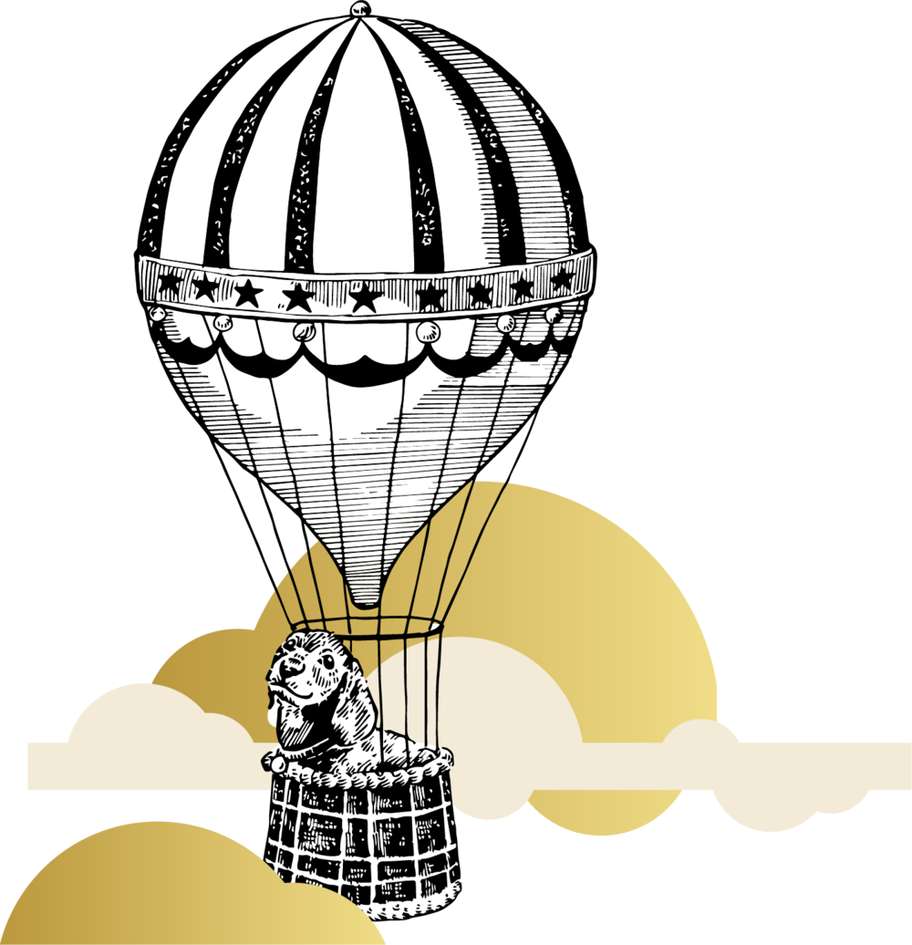 Baloom@2x Clipart (1000x1036), Png Download