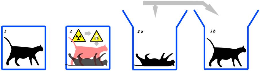 Physics, Schrödinger"s Cat, Schrödinger - Schrodinger's Cat Clipart (960x480), Png Download