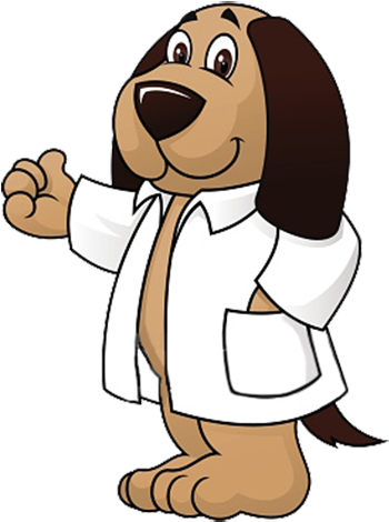 Animal Doctor Cartoon Png Clipart (559x559), Png Download
