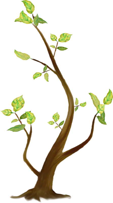 Tree Clipart (446x800), Png Download