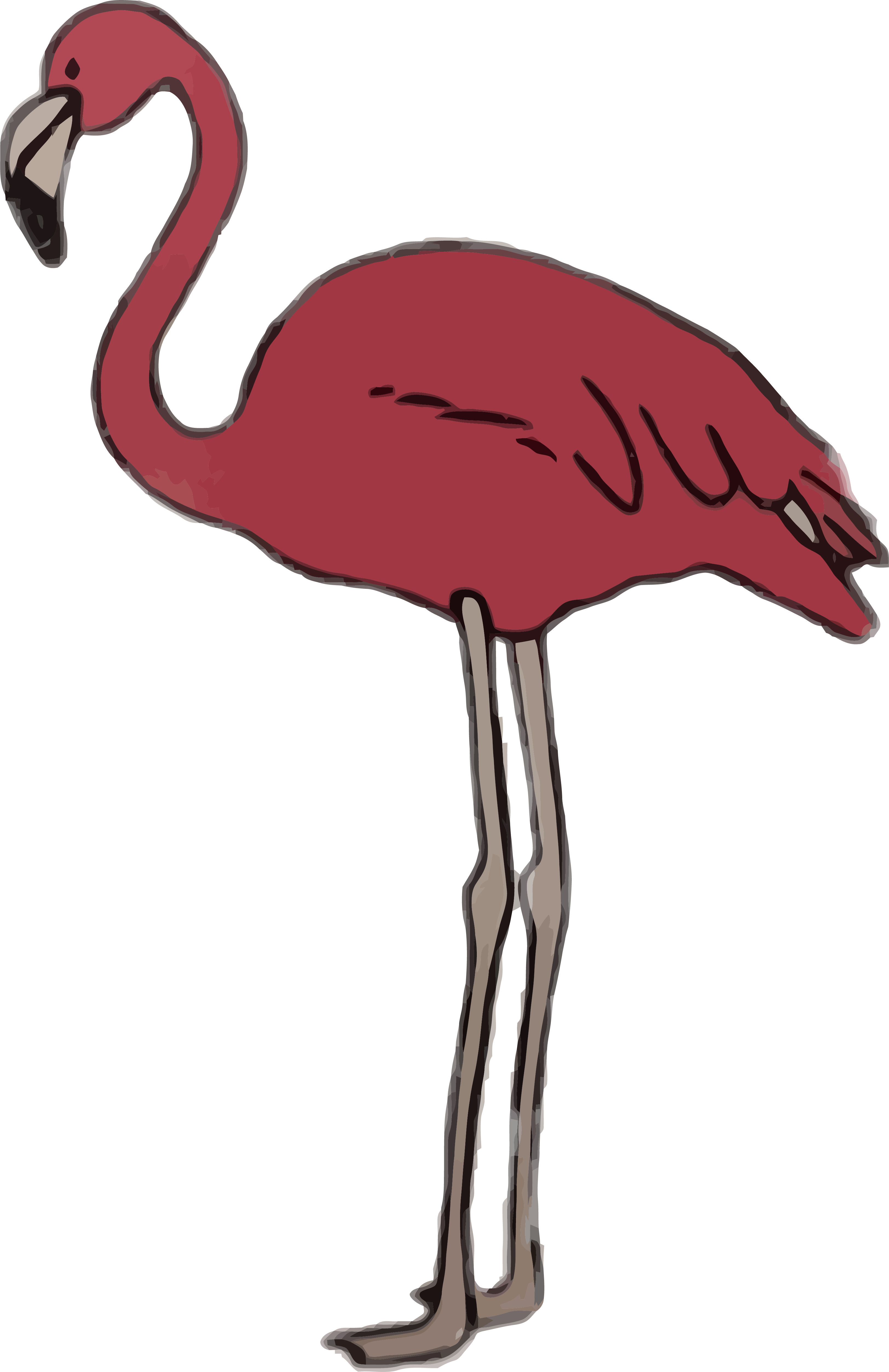 Flamingo Sommer Rosa Greater Flamingo Clipart - Greater Flamingo - Png Download (3248x5012), Png Download