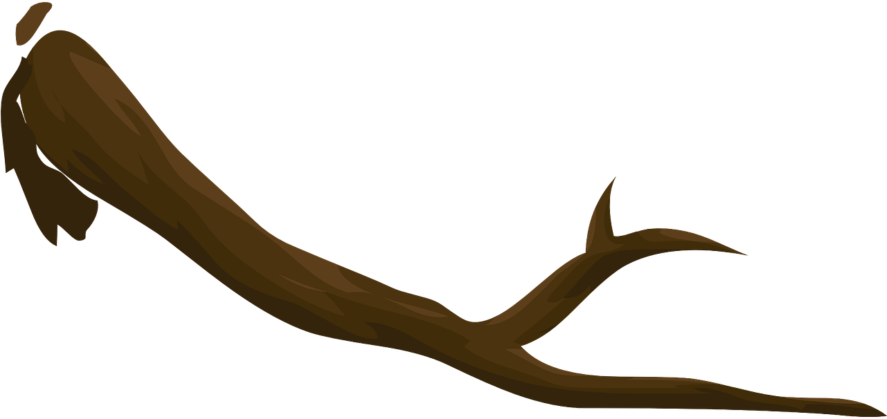 Branche Bois Png Clipart (1280x640), Png Download