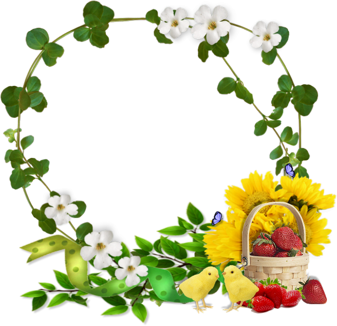 Jasmine Clipart (720x720), Png Download