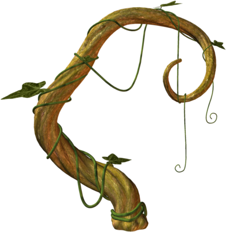 838ac078 - Field Pumpkin Clipart (800x849), Png Download