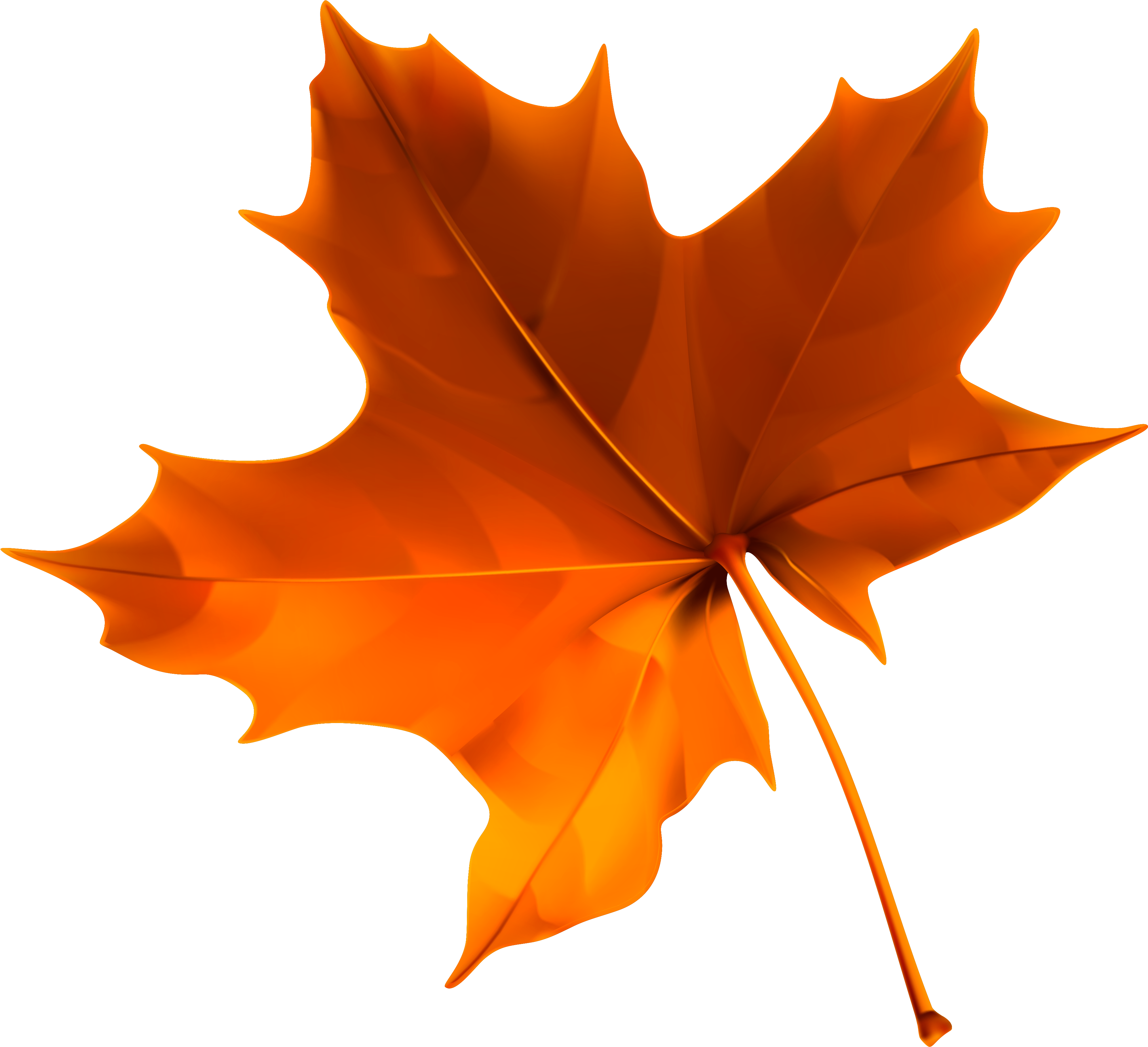 Fall Leaf Transparent Background Clipart (4064x3745), Png Download