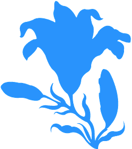 Silhouette Clipart (265x300), Png Download