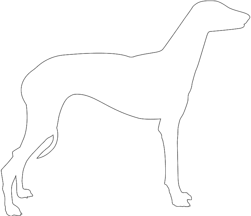 Greyhound White Silhouette Clipart (800x687), Png Download