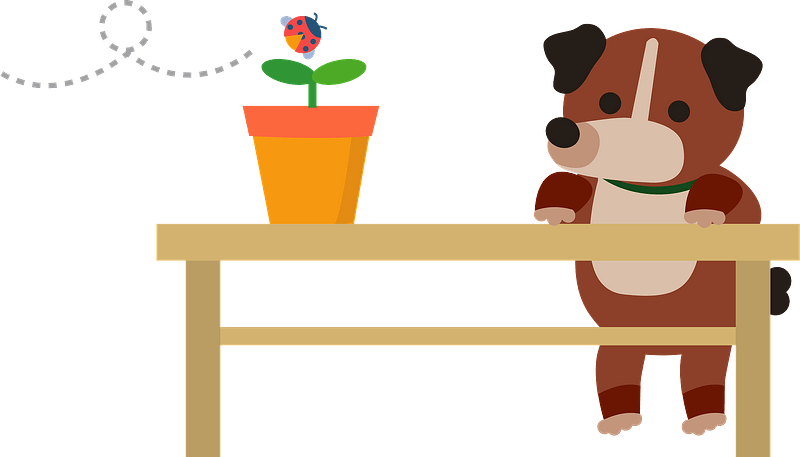 Dog Ladybug Animal Clipart - Cartoon - Png Download (800x457), Png Download