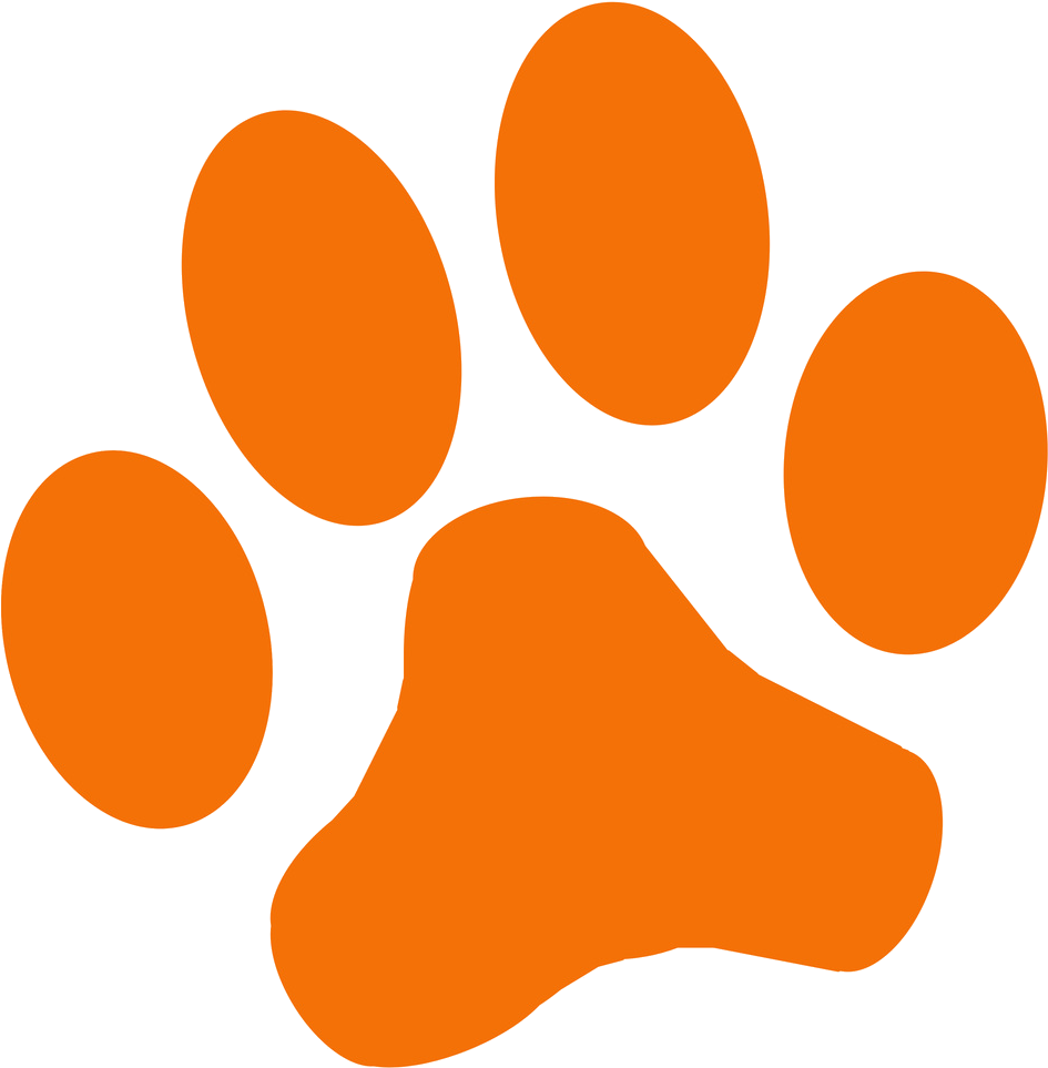 Dog Cat Tiger Clip - Orange Dog Paw Print - Png Download (1000x1000), Png Download