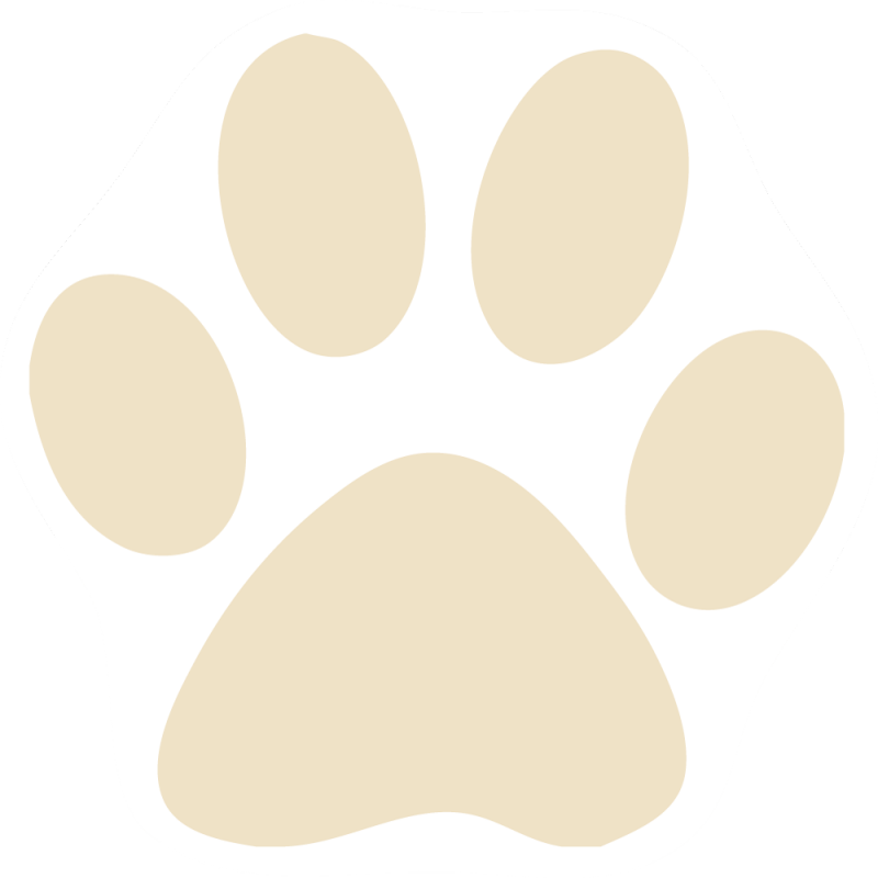 Magnet Paw Tattoos Page - Circle Clipart (800x800), Png Download