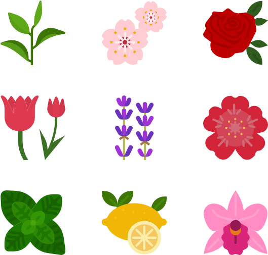 Flower Icons Png Clipart (600x564), Png Download