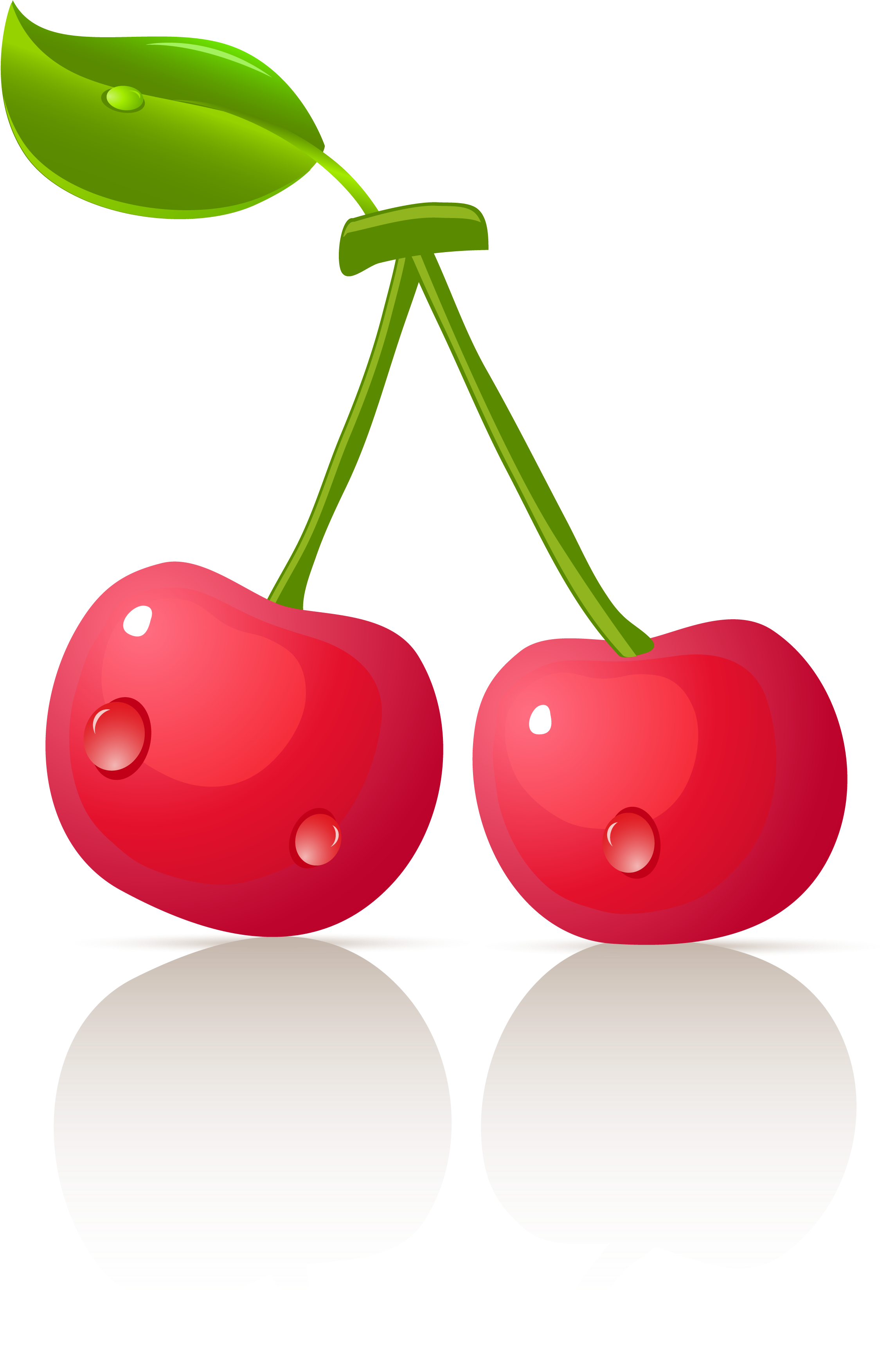 Cherry Clipart (2362x4762), Png Download