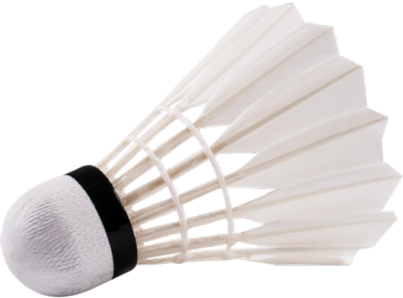 Badminton Png Transparent Images - Shuttlecock Png Clipart (640x480), Png Download
