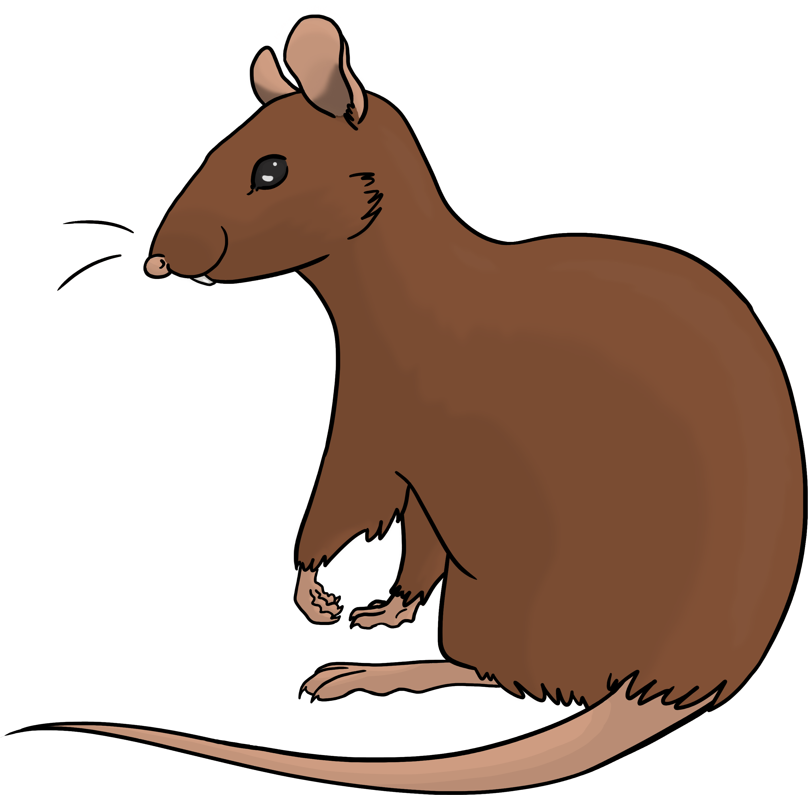 Rat Clipart Full Size Clipart (5792613) PinClipart
