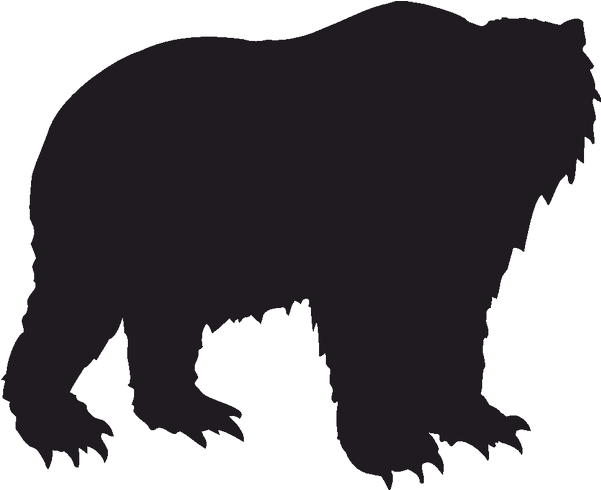 Grizzly Bear Polar Bear American Black Bear Kodiak - Bear Black ...