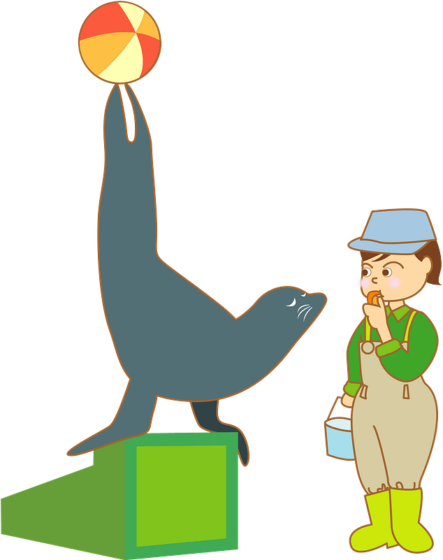 Sea Lion Show Clipart - Cartoon - Png Download (670x800), Png Download