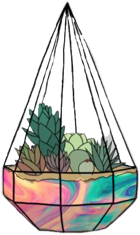 Cactus Plant Stickers Clipart (491x821), Png Download
