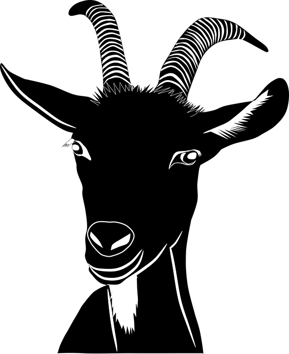 Transparent Farmhouse Clip Art - Goat Svg - Png Download (587x720), Png Download