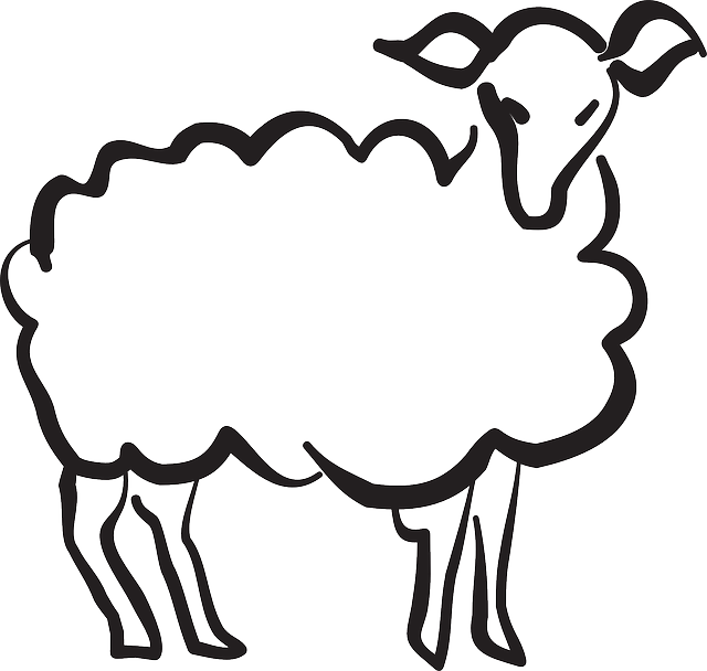 Drawing Sheep Abstract - Cordero Dibujo Clipart (640x608), Png Download