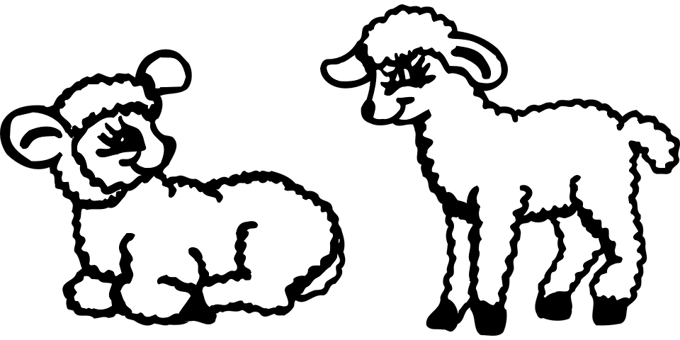 Transparent Lamb Clipart - Lambs Clip Art - Png Download (960x480), Png Download