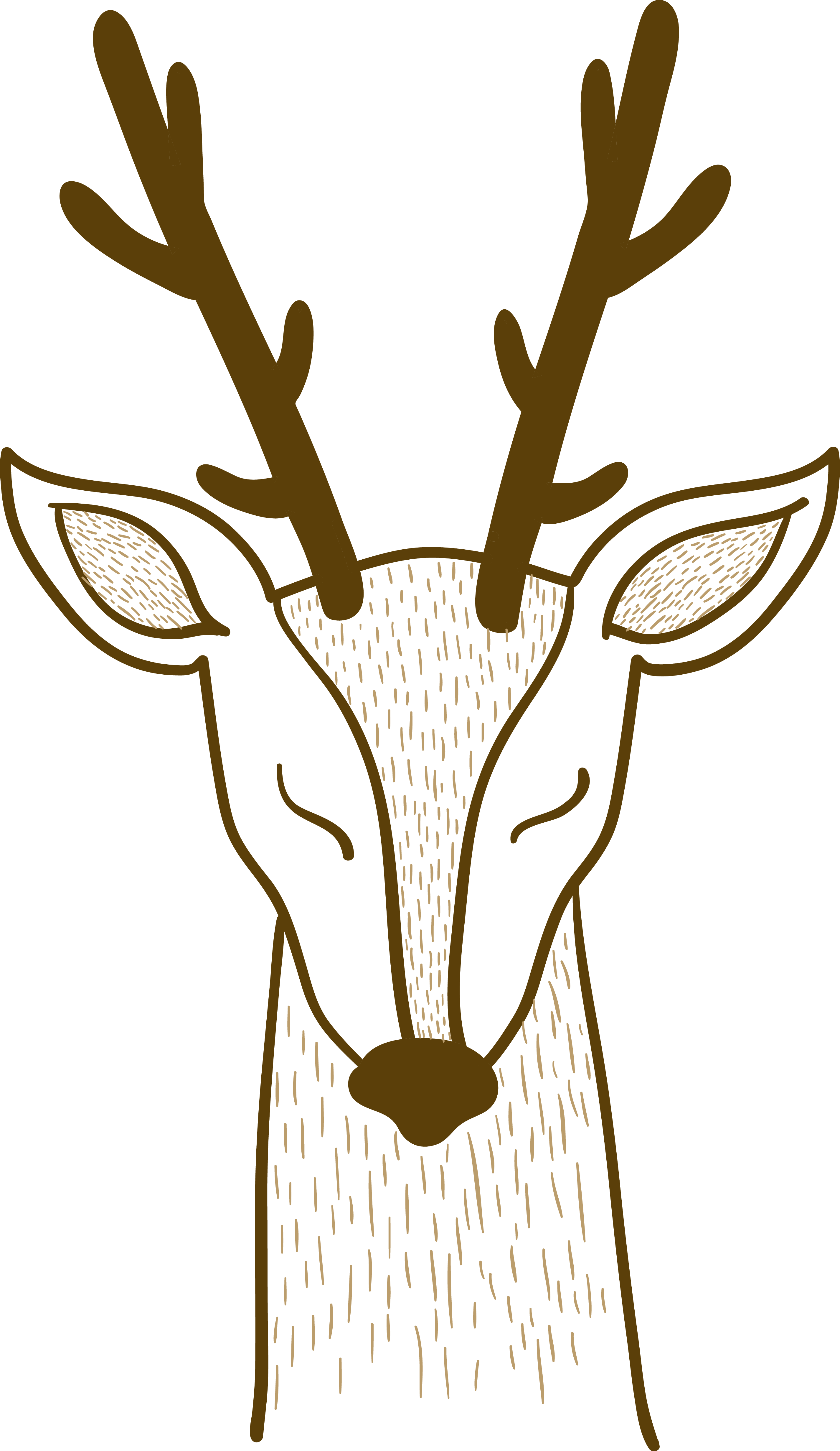 Pxe8re Davids Deer Sika Deer - วาด รูป หน้า กวาง Clipart (2851x4921), Png Download