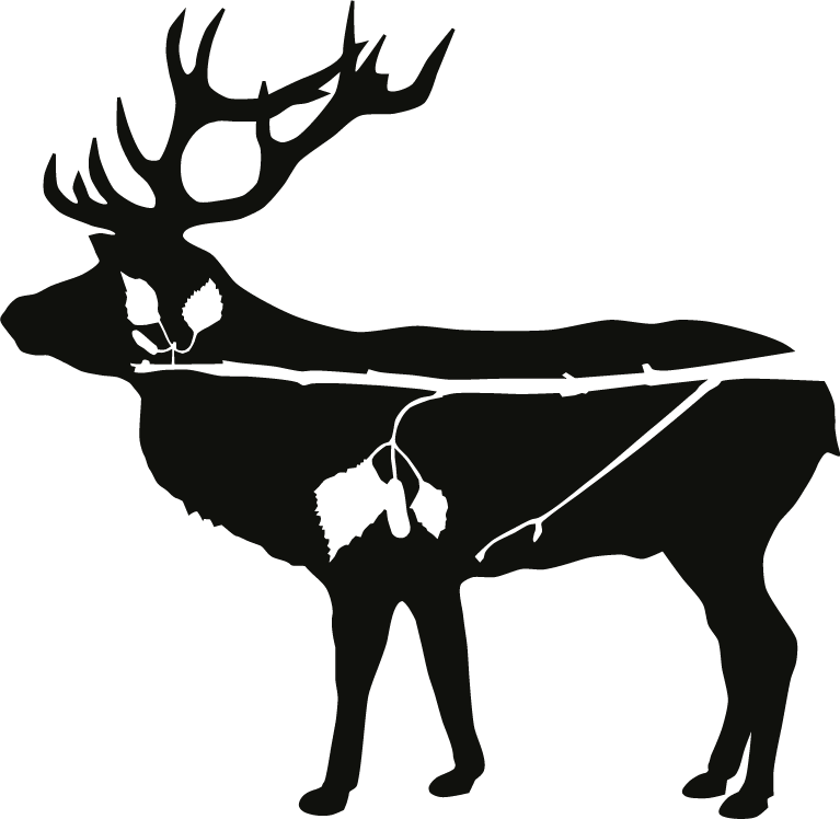 Deer Antlers Clipart - Png Download (767x748), Png Download