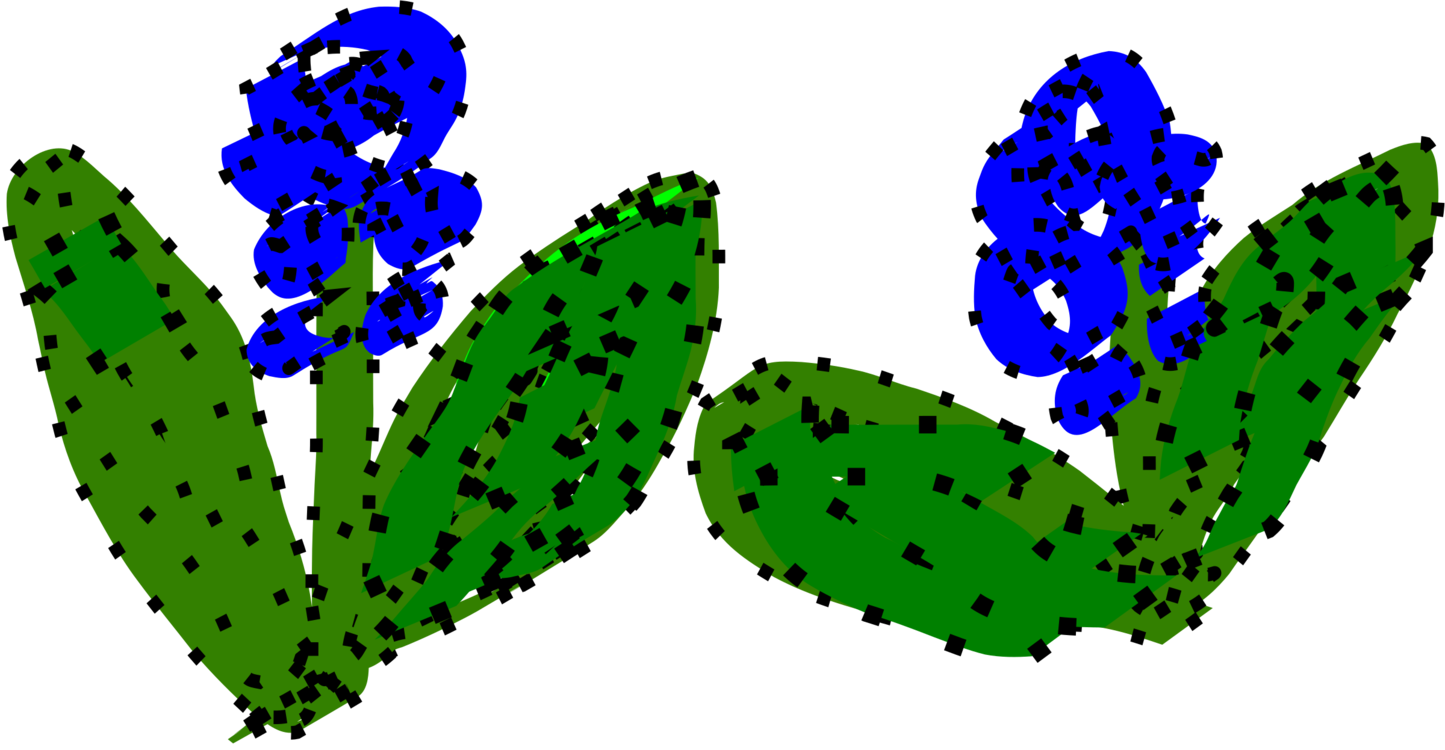 Plant,grass,leaf - Flowering Plant Clipart (1445x750), Png Download