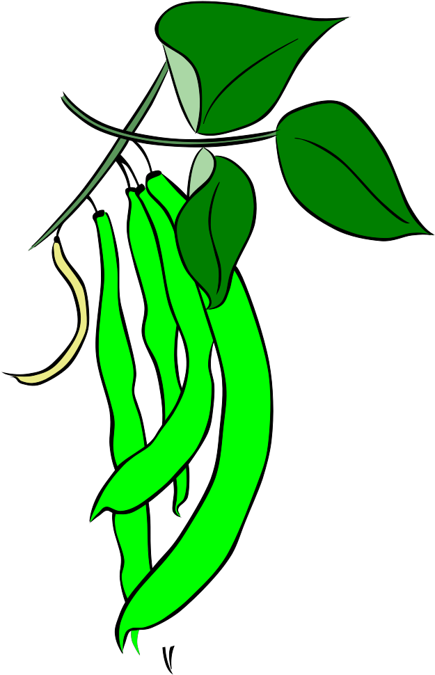 Lesson Plan Of Food Of Plant Clipart (1600x1600), Png Download